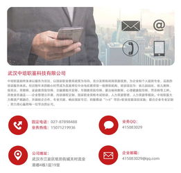 河南幼師資格證報(bào)考指南，兼談職業(yè)技能培訓(xùn)與計(jì)算機(jī)行業(yè)